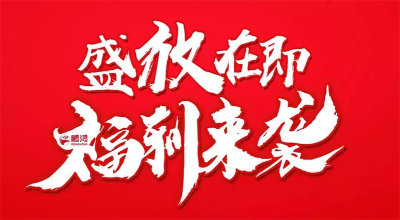 再拓疆域！鵬鴻We+定制&紅星美凱龍聯(lián)袂亮相烏魯木齊